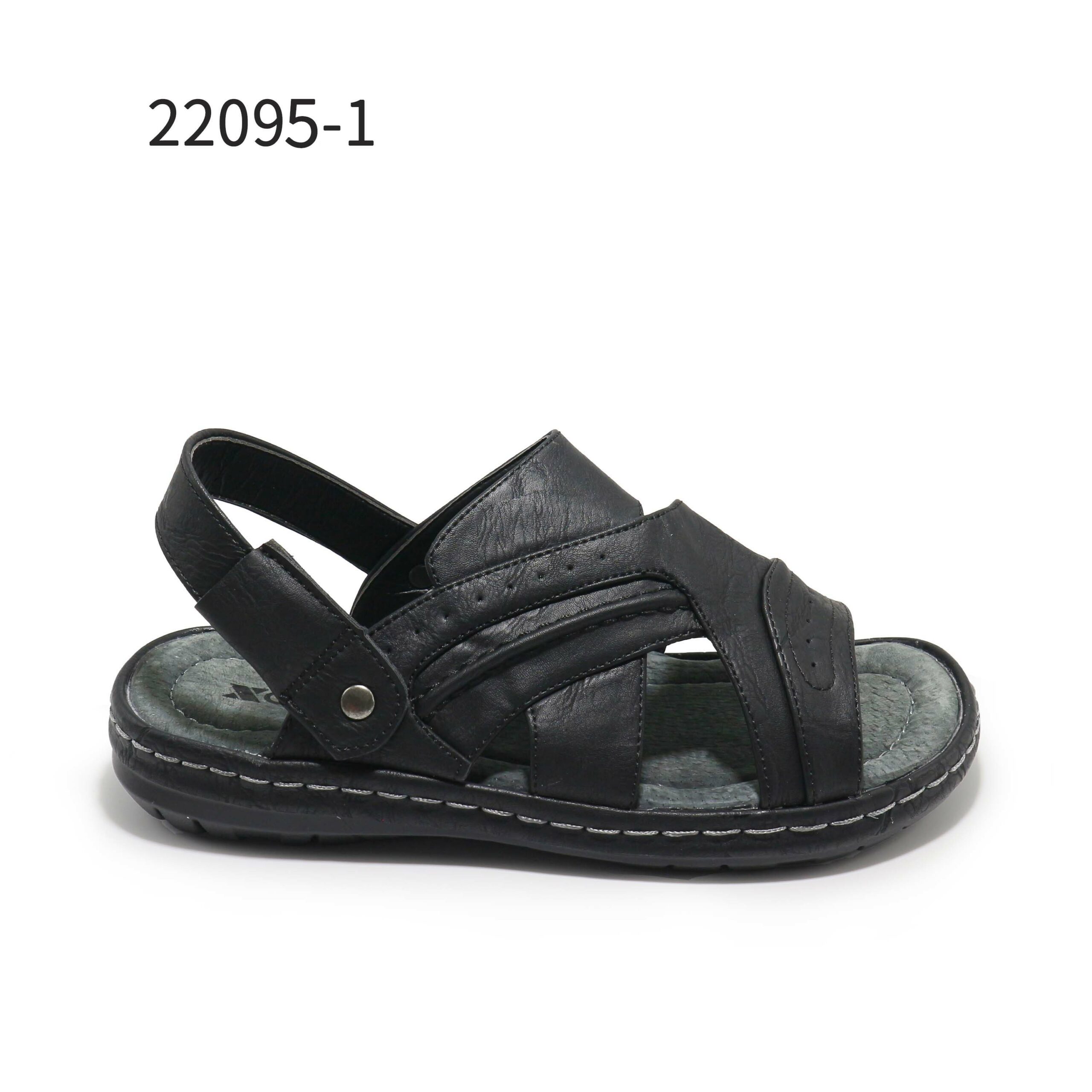22095-1